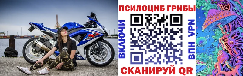 где купить наркотик  darknet телеграм  Галлюциногенные грибы прущие грибы  Биробиджан 