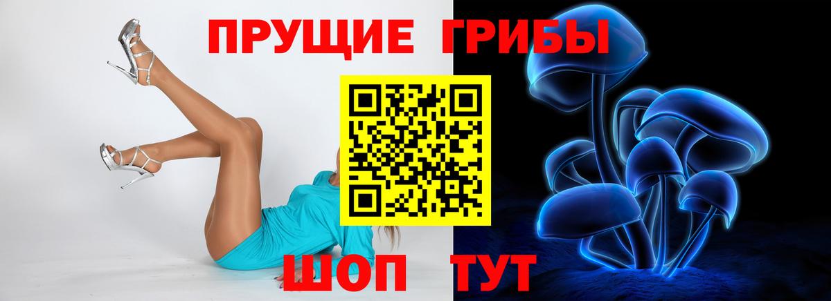Псилоцибиновые грибы мухоморы Биробиджан